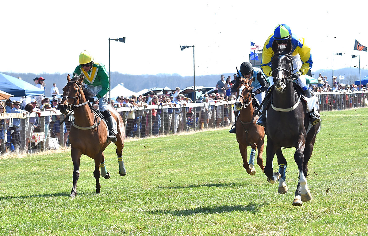 Ebanour, left, about to take the lead, courtesy of Ladew Topiary Gardens 