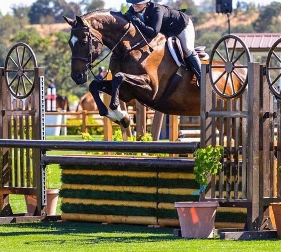 Corduroy. Photo courtesy of Lori Johnston