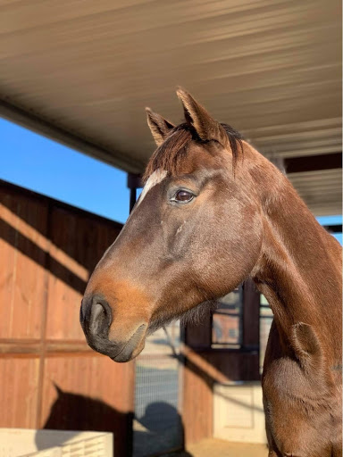 George in retirement. Photo courtesy of Lori Johnston