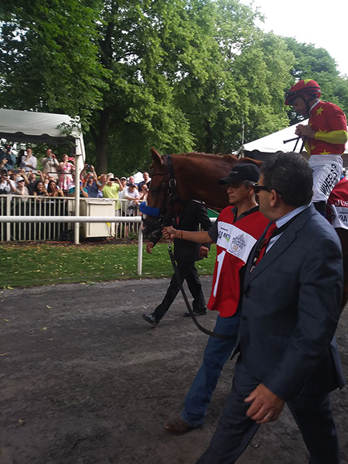 Justify at the Belmont Stakes 2018