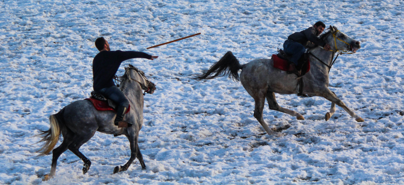 Middle Eastern variations of Polo | Jereed 
