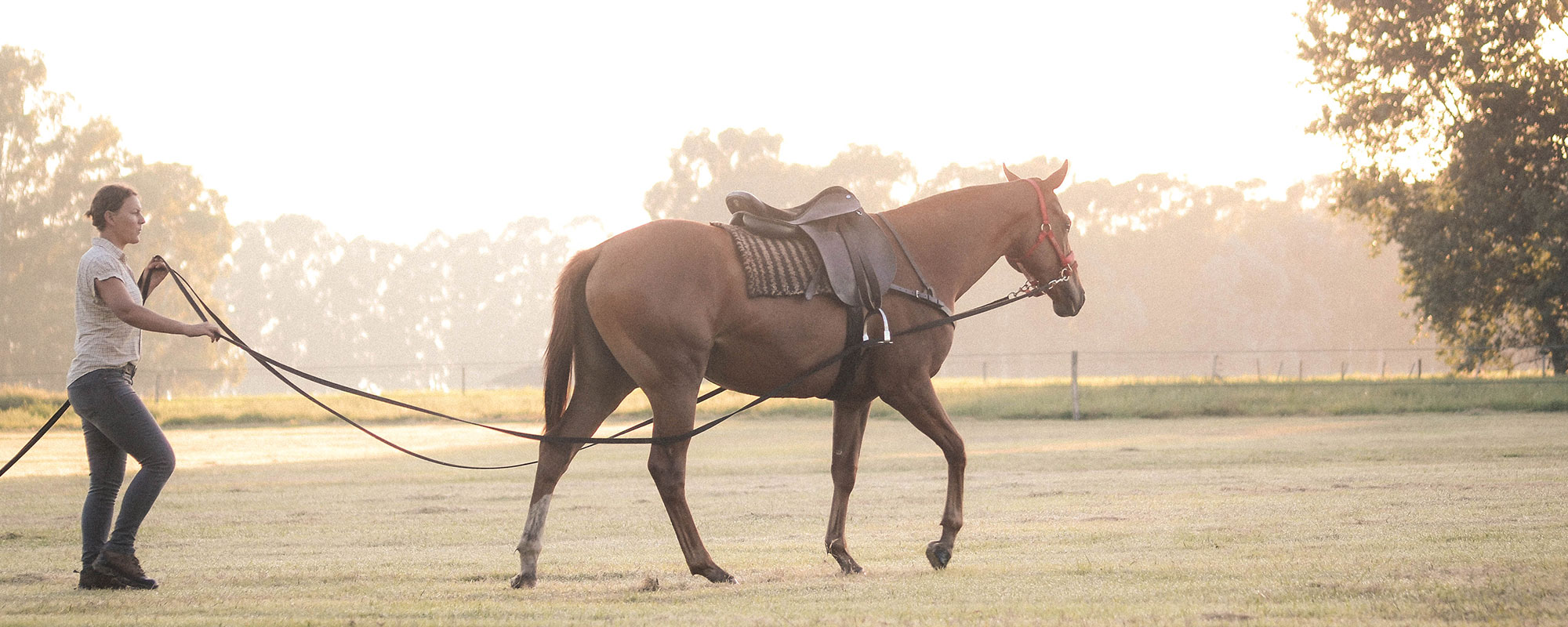 Denise Heinlein training a young Polo horse in Argentina. Photo by Kevin Funcia. 