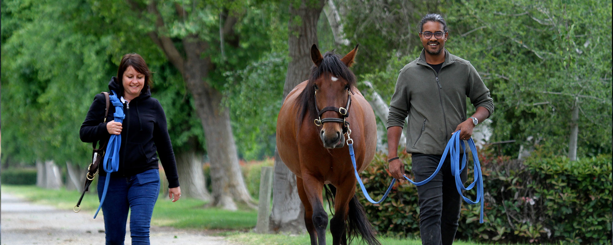 For decades equine students from around the globe have studied violence-free horsemanship at the Monty Roberts International Learning Center. Photo by June Tabor. 