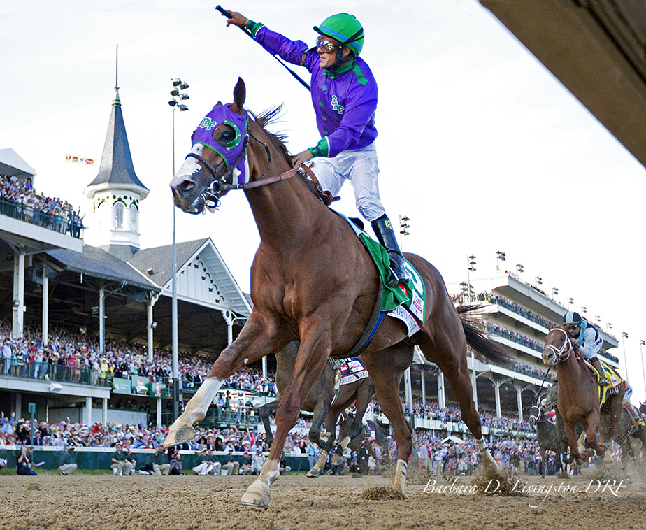 California Chrome winning the 2014 Kentucky Derby © Barbara D. Livingston