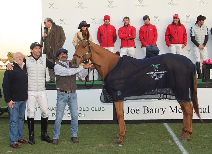 Cubana chosen as Best Playing Pony on Jan. 8th 2017 in the Joe Barry Game: Grand Champs vs Coca Cola © Alex Pacheco/7ChukkerPolo.com