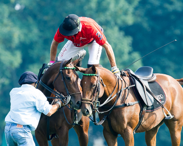 2015 East Coast Open at the Greewich Polo Club by Joelle Wiggins, OTTB horse Cubana is on the right