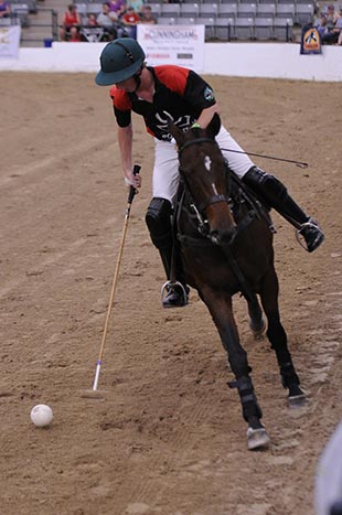 Retired Racehorse Project - Thoroughbred Makeover Winner Caldwell on Old Tavern - photo courtesy of GRC Photo LLC