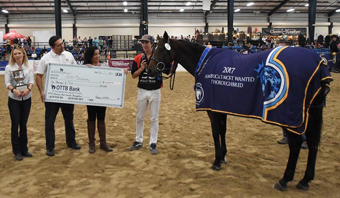 Retired Racehorse Project - Thoroughbred Makeover Winner Caldwell on Old Tavern - photo courtesy of GRC Photo LLC