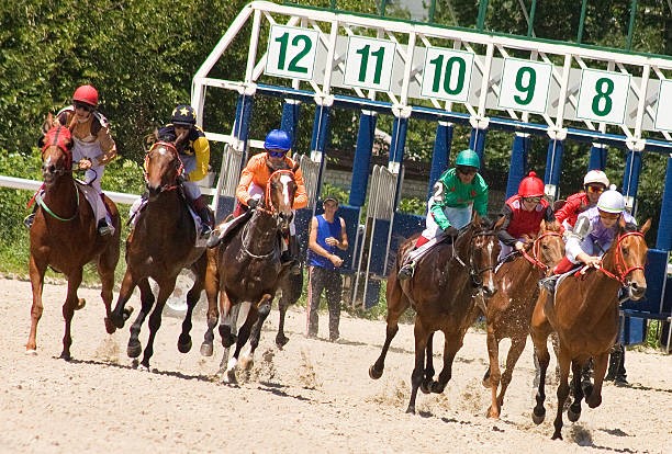 Horse Racing