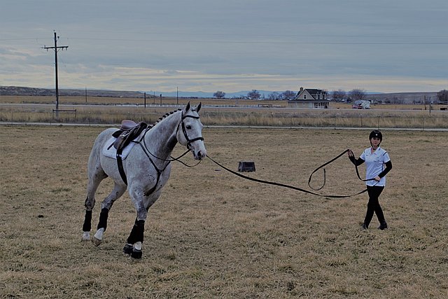 The Pamplemousse and show horse trainer Stevee Keller in Idaho