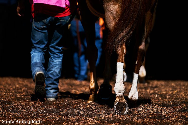 Photo courtesy of Santa Anita