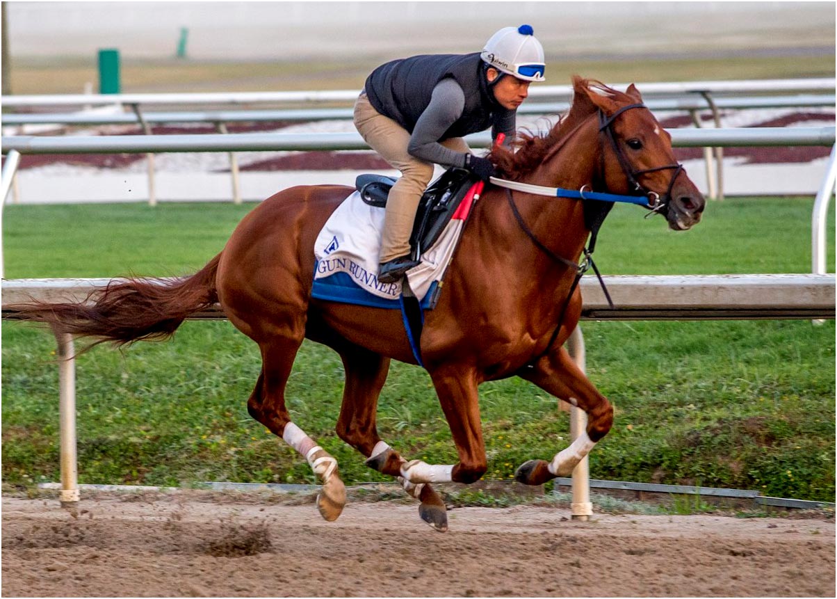 Gun Runner, Credit: Pegasus World Cup via Twitter