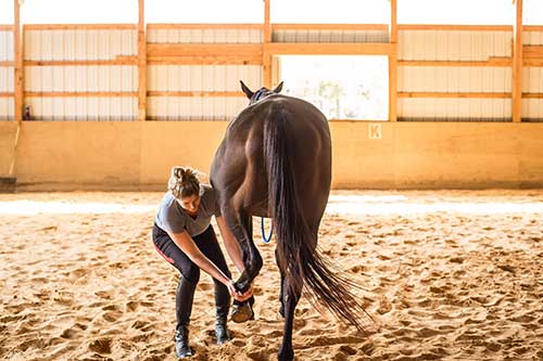 photo courtesy of Erin Gilmore Photography