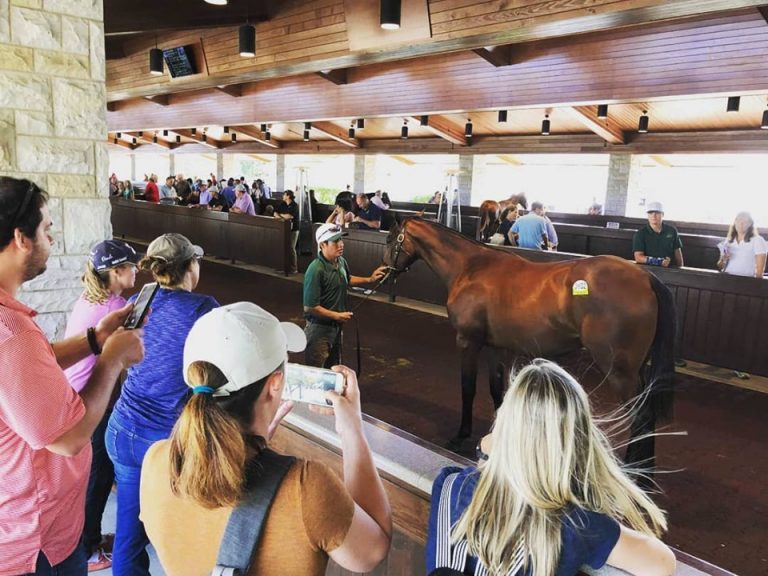 Our yearling with her fan club at the September sale.