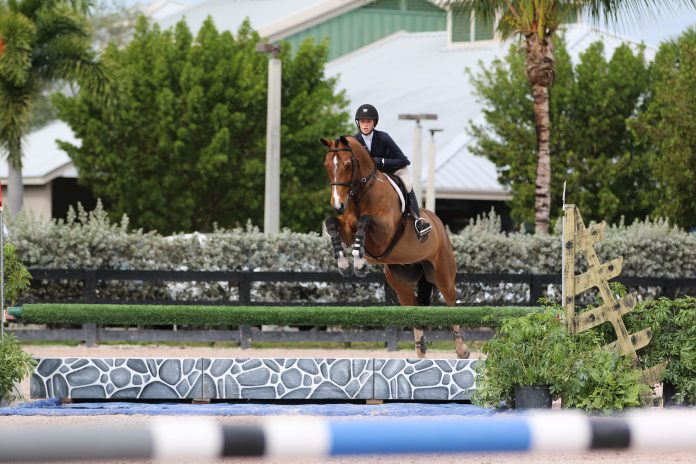 Photo courtesy of the Plaid Horse