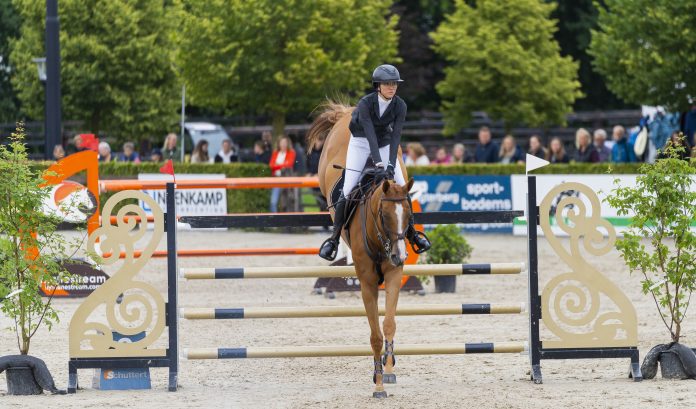 Photo courtesy of the Plaid Horse