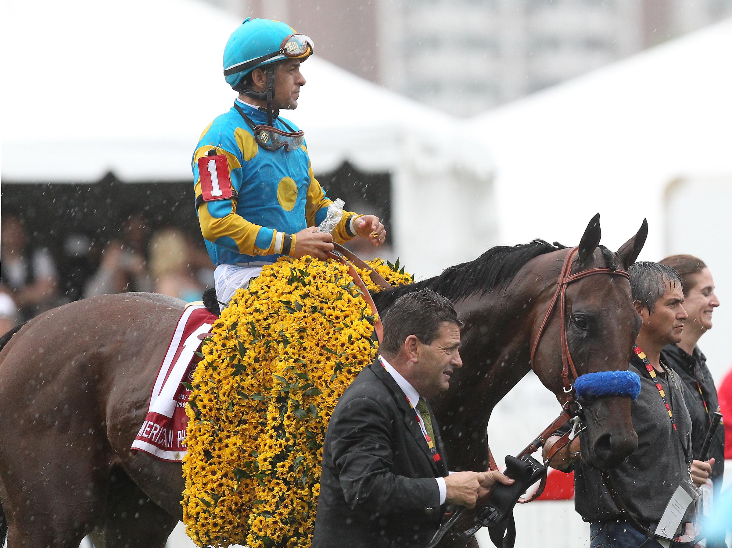 American Pharoah in 2015. (Eclipse Sportswire)