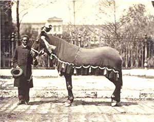 Old Bob and Reverend Henry Brown