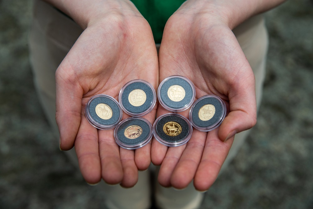 General view of the gold quarter sovereign to feature the portrait of the Queen on horseback released by Bradford Exchange at the Horse Rangers Association, Royal Mews, Surrey. Photo credit: Steven Paston/Press Association.