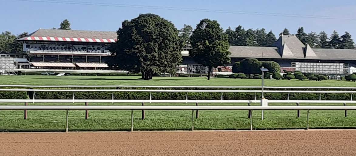 Saratoga Race Course (Photo courtesy of the EIE Editorial Staff)