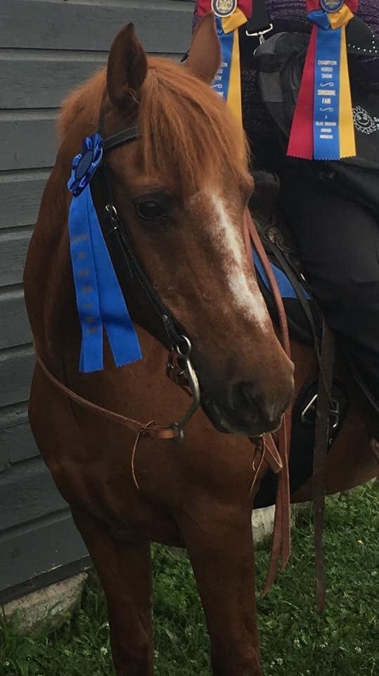 Domination at the County Fair!