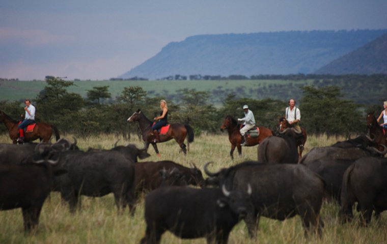 Safaris Unlimited - Kenya Africa