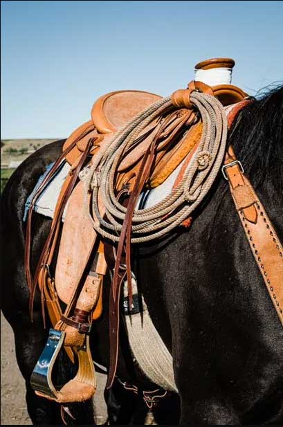 Aspen Saddlery