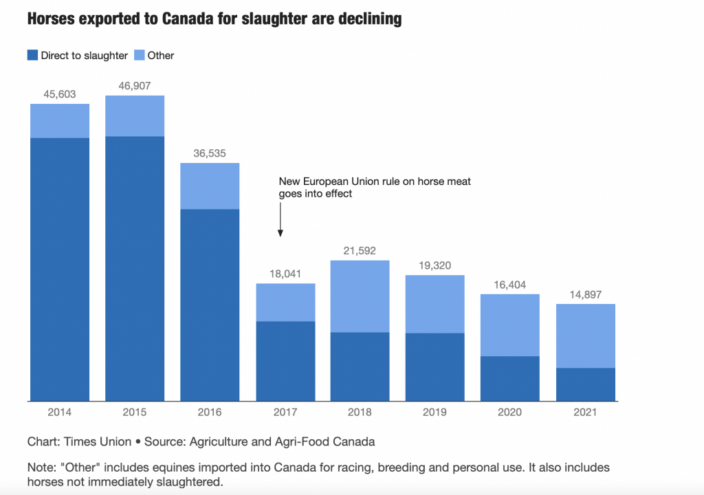 Horses sent to Canada fore slaughter