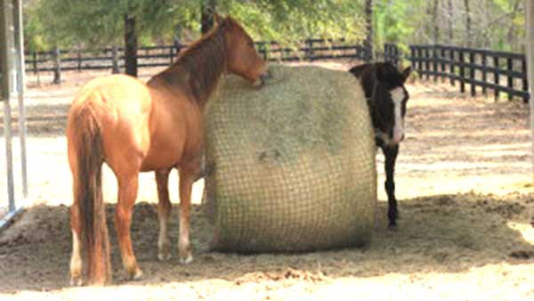 Freedom Feeder - Round Bale Net