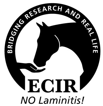 ECIR Group