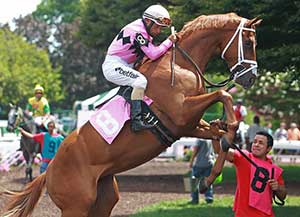 A horse rears in the Monmouth paddock | Bill Denver/Equi-Photo