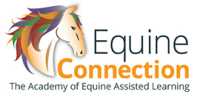 Equine Connection