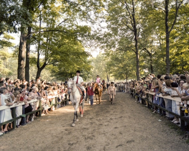 Tony Leonard - From the Paddock, 1978 Travers