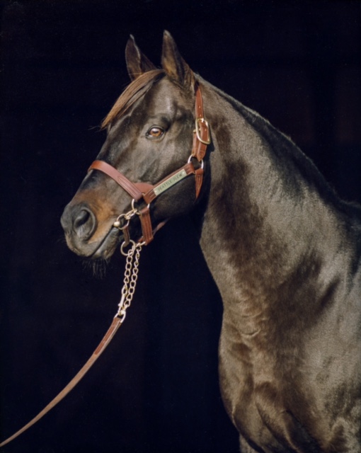 Tony Leonard - Seattle Slew October 4, 1990 (Three Chimneys)