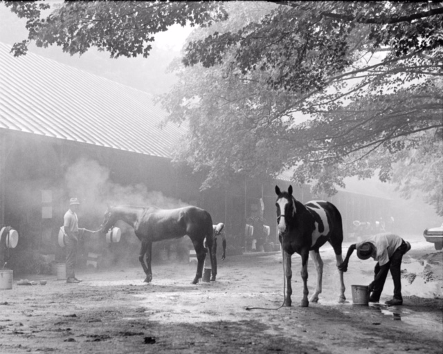 Tony Leonard - Morning Bath at Saratoga August 1968