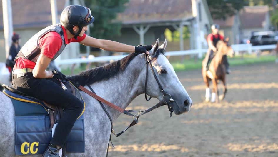 The special bond between horse and human has endured for thousands of years. (Penelope P. Miller/America's Best Racing)