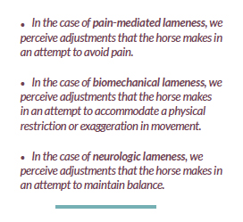 The Art of Seeing Lameness