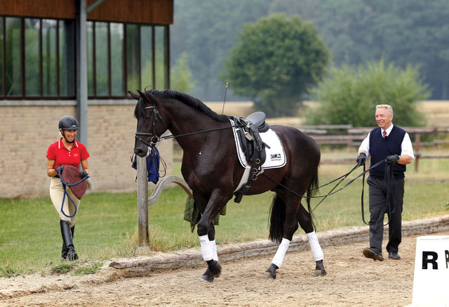 How Two Minds Meet - photo courtesy of Horse & Rider Books