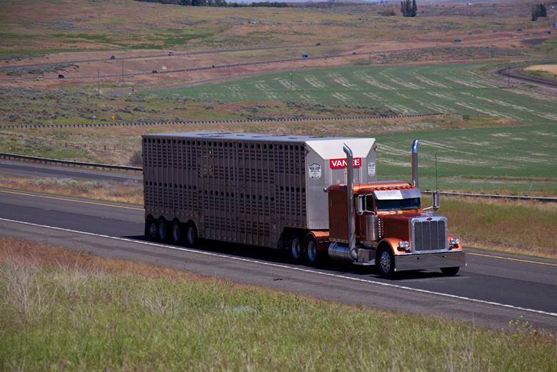 ‘Double decker’ two story livestock trailer | Photo credit: Shutterstock 