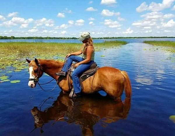 Treeless Saddles from BarefootSaddlesUSA.com