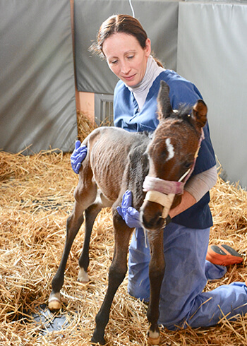 Cherish is supported by nurse Kara Edmonds in the NICU.