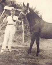 Harry de Leyer in Holland, photo courtesy of Harry de Leyer