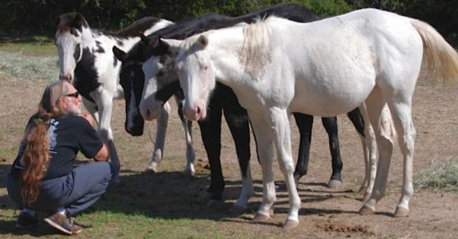 Willie Nelson Rescued 70 Horses From a Slaughterhouse and Let Them Roam Free on His Ranch