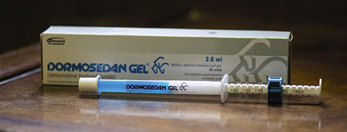 DORMOSEDAN GEL® (detomidine hydrochloride) from Zoetis