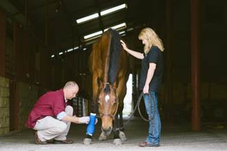 Zoetis Equine News - Leg Bandaging