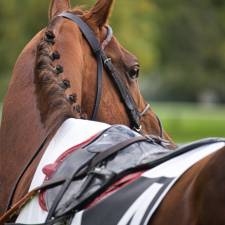 Three Famous First-fence Flops in the Grand National 