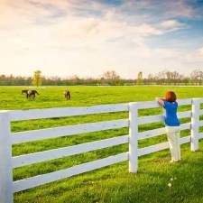 To Fence or Not to Fence? That Is the Question