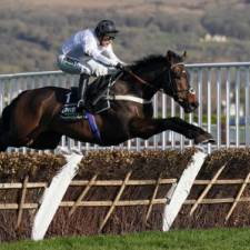 Constitution Hill Team Considering Fences Next Season