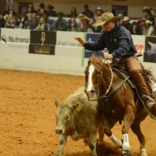 5 Tips For Keeping Aged Horses Fit To Compete