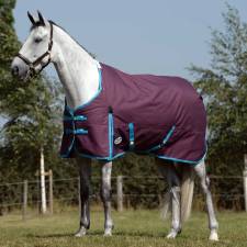 Horse Blanketing Guide